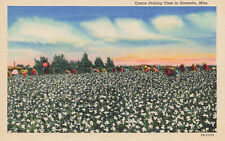 COTTON PICKING TIME POSTCARD GRENADA MS MISSISSIPPI 1942 picture