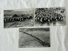lot of 3 RPPC CATTLE DRIVE Mt.Vernon, OR Oregon vintage postcards rural cowboys picture