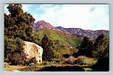 Santa Barbara, CA-California, Botanic Garden, Vintage Postcard picture