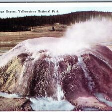 c1930s Yellowstone National Park WY Sponge Geyser Vent Early Linen Postcard A229 picture