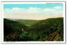 c1920's Railway, Mountain Scene Switch-Back Coudersport Pennsylvania PA Postcard picture