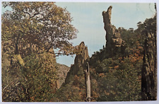 The Boot Rock Formation at Big Bend National Park Texas Vintage Postcard B8 picture