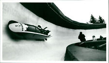 Bobsleigh - Vintage Photograph 2714994 picture