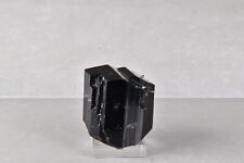Lustrous Black Schorl Tourmaline from Namibia 3.6 cm   # 16990 picture