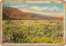 Metal Sign - California Postcard - Wild daisies on the desert, California picture