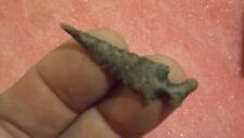 Texas Edwards Bird Point Arrowhead, Ancient Indian Artifact *FREE SHIPPING* RD85 picture