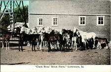 1908. CLARK BROS. STOCK FARM. LIVERMORE, IOWA. POSTCARD. DC1 picture