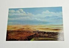 VTG Post Card Chief Deerfoot Pn His Paint Stallion picture