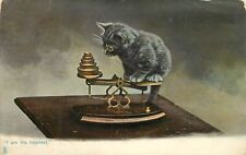 Tuck Postcard Kittendom Kitten on a Scale I am The Heaviest 1418 Gray Tabby Cat picture