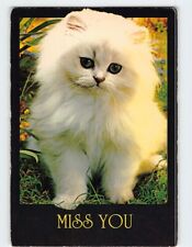 Postcard Miss You Cute White Kitten picture