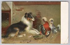 1907-15 Postcard Collie Dog & Roosters Art Print picture