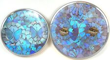🔥x2 Vintage Blue Morpho Butterfly Wing Plate Art Wall Hanging 11.5” Signed NICE picture
