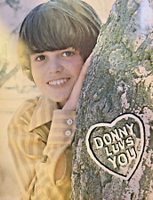 1972 Vintage Illustration Donny Osmond Leaning Against A Tree picture