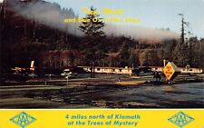 Klamath CA California TREES MOTEL Mystery Roadside US 101 Hwy Vtg Postcard Q4 picture