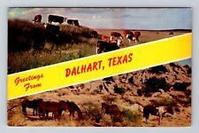 Dalhart TX-Texas, Scenic Banner Greetings, Antique Vintage Souvenir Postcard picture