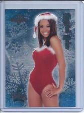 Crystal Colar Bench Warmer 2005 Holiday Foil Insert Card 9 of 18 picture