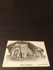 EARLY 1910 - POSTED POSTCARD - TWO'S COMPANY picture