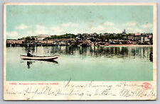 Vintage Postcard MI Petoskey From the Harbor Shoreline Boat c1907 ~6629 picture