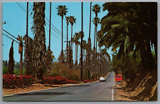 Riverside CA Victoria Avenue c1960s Postcard picture