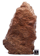 Meteorite NWA Chondrite Meteorite 477 grams picture