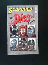 Spawn The Scorched #2B  IMAGE Comics 2022 NM+  Barends  Variant picture