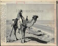 1973 Press Photo Bedouin camel riders pause on desert highway in Jordan picture