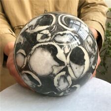 6kg Rare thousand eyes shell jade fossil ball from Madagascar #A2 picture
