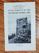 Fossil Forests of the Yellowstone National Park booklet 1928 picture