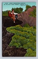 Couple at Scenic Grandfather Mountain Blue Ridge Parkway Linville NC Postcard picture