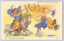 Postcard West Texas Comic Cowboy On Horse Lasso Dropping A Line Vintage Unposted picture