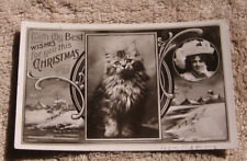 Christmas RPPC Beautiful Lady Kitty Cat c 1910 Real Photo Postcard picture