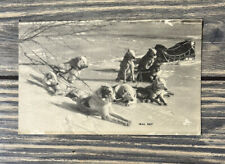 Vintage Trail Rest Dogs In Snow Postcard picture