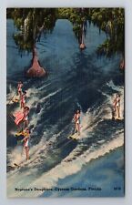 Cypress Gardens FL-Florida, Neptune's Daughters, Antique, Vintage Postcard picture