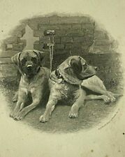Rare 1883 French Manhattan Hotel Buffet Menu w/ Dogs Lab Mastiff New York picture