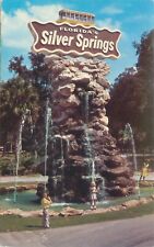 Silver Springs Florida  Entrance Sign, Little Kids Vintage Chrome Postcard picture