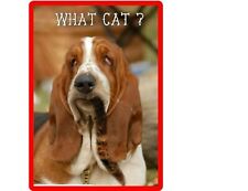 Funny Dog Basset Hound Ate Cat Refrigerator / Magnet Gift Card Idea picture