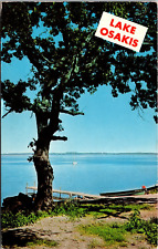 Lake Osakis Tree Osakis Minnesota MN Postcard L66 picture