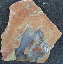 Priday Ranch PLUME AGATE Thunderegg slab … lovely forms and filaments … picture