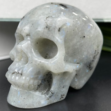 Natural White Labradorite Human Skull Hand Carved Energy Crystal Collection Gift picture