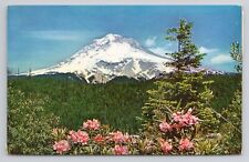 Mt.Hood And Rhododendrons Postcard 3682 picture
