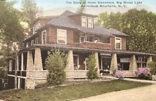 Big Moose Lake NY Adirondacks Hotel Glennmore Handcolored Postcard New York picture