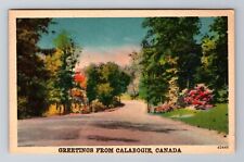 Calabogie ON-Ontario Canada, Scenic Greetings, Roadway, Vintage Postcard picture
