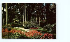 postcard The sunken gardens, flowers-trees St Petersburg, Florida 0322 picture