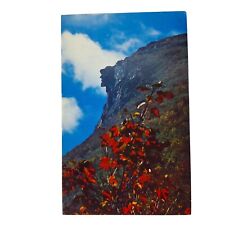 Postcard Old Man Of The Mountains Franconia Notch New Hampshire Chrome Unposted picture