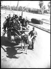 Egypt Cairo bus service donkey, cart and driver with passengers Ca - Old Photo picture