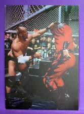 Stone Cold's Greatest Hitz Steve Austin & Kane 1998 WWF Supertarz Omni Insert #5 picture