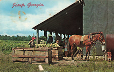 Jesup GA Georgia, Landmark Motor Lodge, Market, Horse, Tourists Vintage Postcard picture