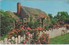 Typical Rose Covered Cottage-NANTUCKET, Massachusetts picture