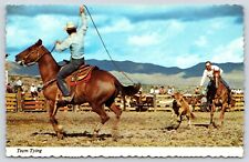Rodeo Cowboys Lasso Horses  Vintage Postcard picture