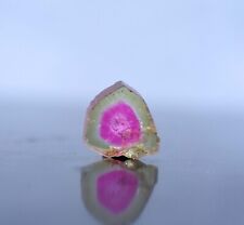 Natural Color Watermelon Tourmaline Slice (2.20 CT) picture